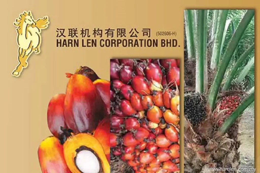 Harn Len Corporation Bhd has inked a memorandum of understanding with Jutawan Enterprise to explore the pineapple plantation business.